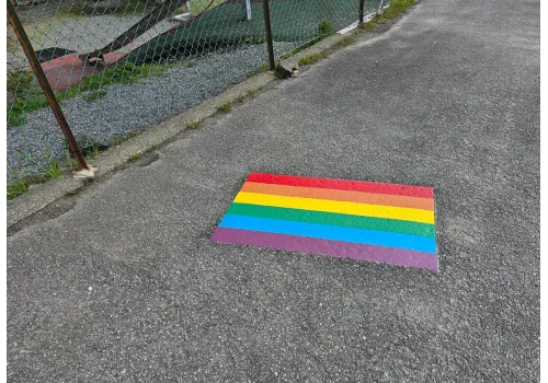 PRIDE flagg/ledelinje/spray